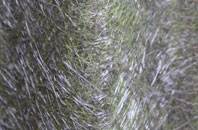 Old Catton fibreglass roof work